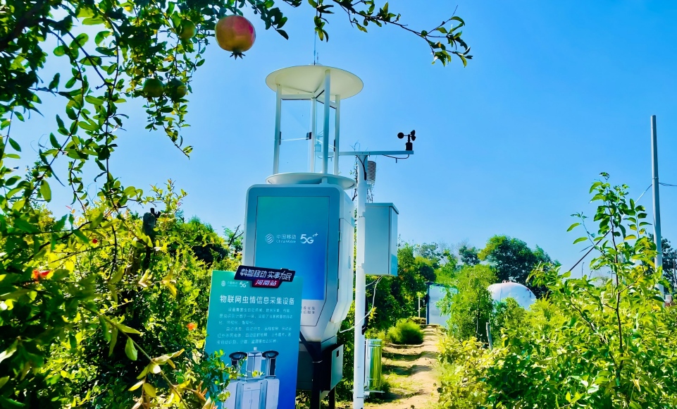 ʹxy(bo)Ҫע(xing)ʲô