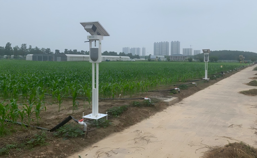 (lin)W(wng)x(chng)ʹЧʣ